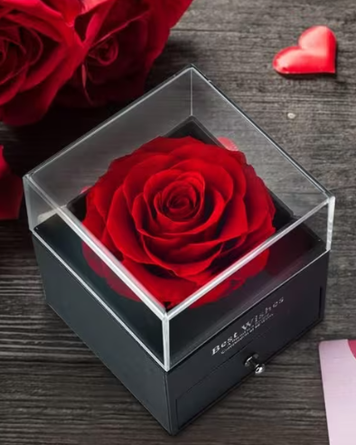 Enchanted Rose Jewelry Box With Necklace