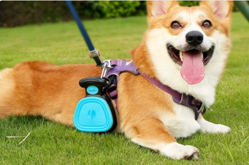 🐾 Foldable Pet Pooper Scooper – Keep Walks Clean