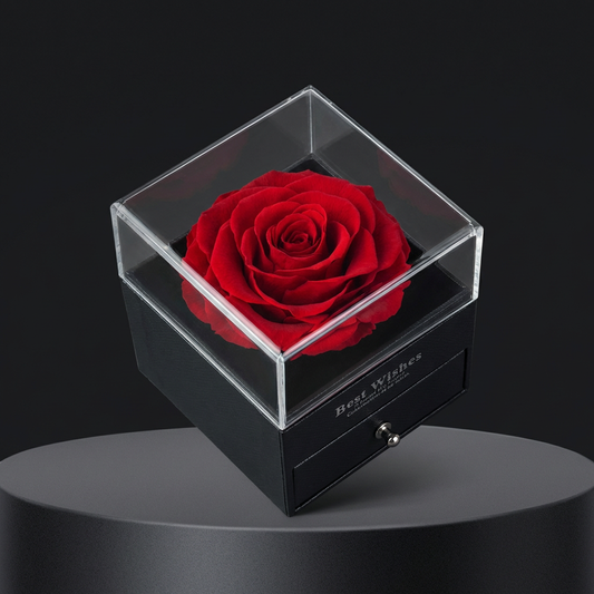 Enchanted Rose Jewelry Box With Necklace