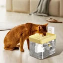 Transparent Cat Water Dispenser